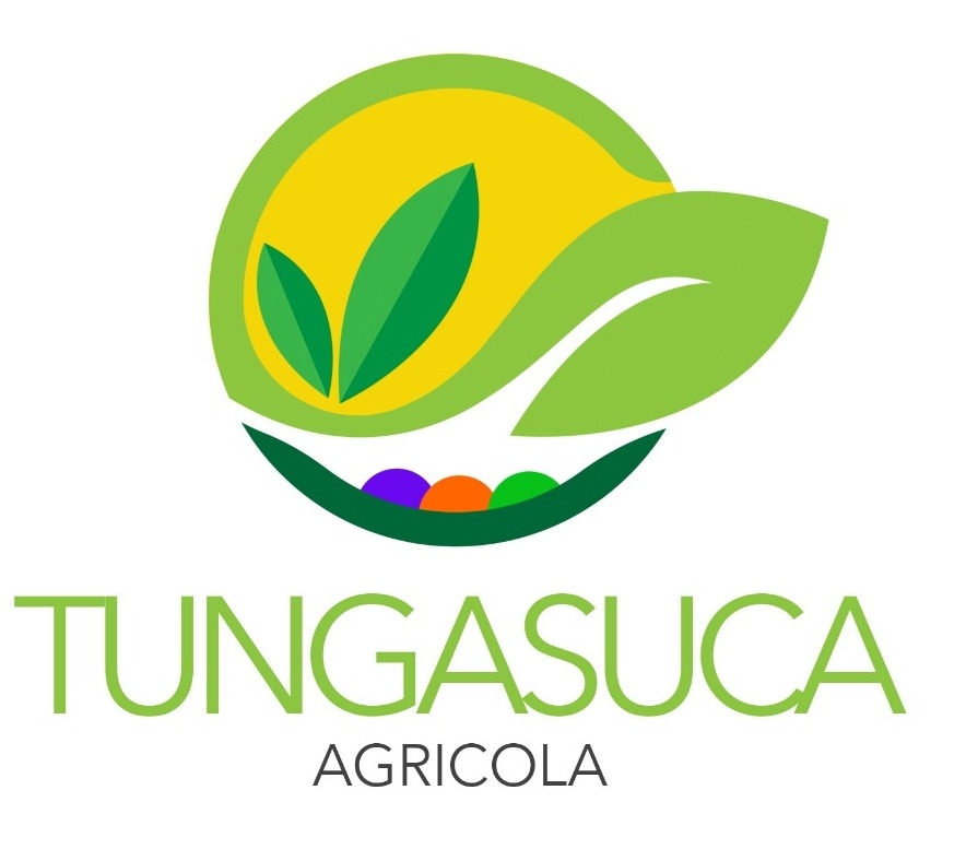 Agricola Tungasuca