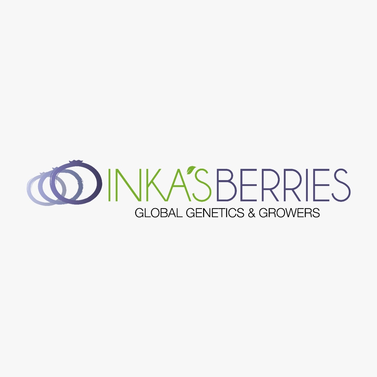 Inka Berrires